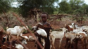 Племя, где женщины могут иметь много мужей. Традиции племени Полигамба в Камеруне.