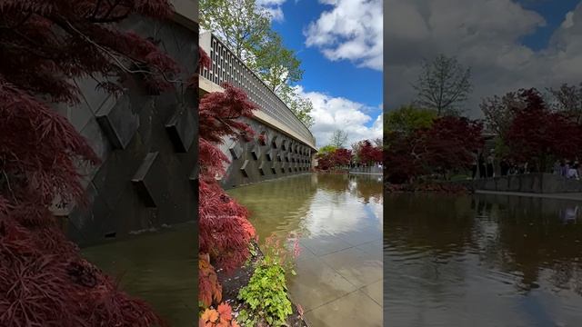 Как же тут красиво небо отражается ?️ Доброе утро!  ? Японский уголок @park_galitskogo
