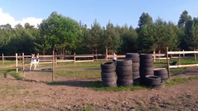 Частная конюшня в деревне Соболево приняла нас очень дружелюбно смотреть онлайн