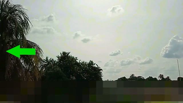 Cazando al Satélite Arsat2 81W; Apuntando al 81W, Canales de Televisión Abiertos, FTA смотреть онлайн