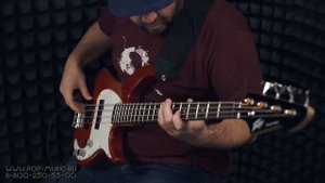Комбо для бас гитары WARWICK BC20