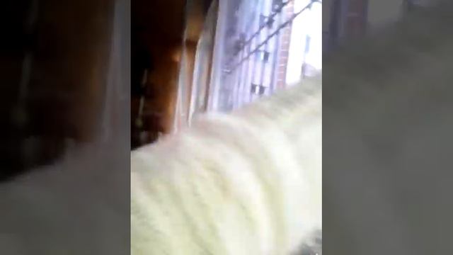 Кто в моём доме? Выйдет ли Марианна когда нибудь из своей новой квартиры?(кто же это?) смотреть онлайн