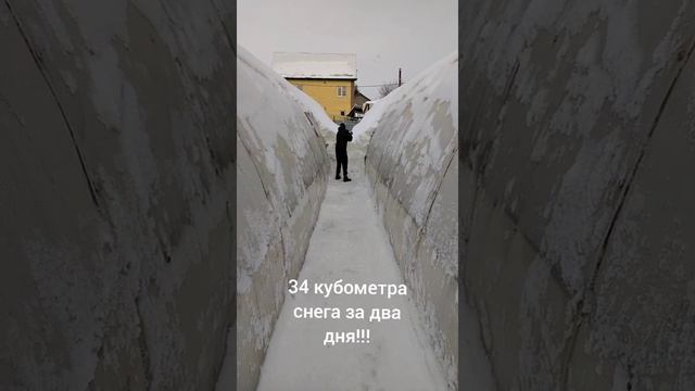 Ручная уборка снега между теплицами. 2 дня работы результат на видео. #снег #теплица #труд