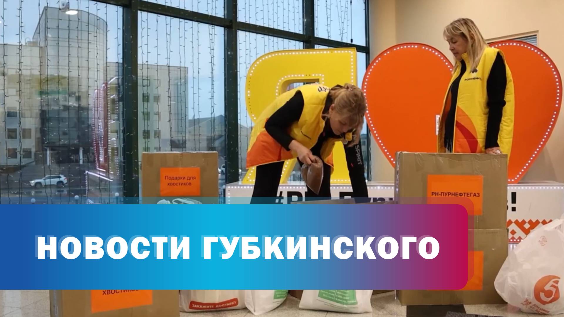 Нефтяники собрали 100 кг корма приюту для животных в Губкинском