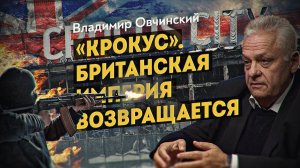 Какой ветер качает украинскую, исламскую и европейскую ветки? Владимир Овчинский