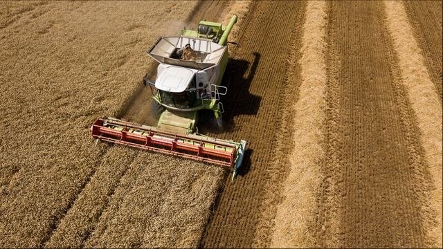 Минсельхоз: объем экспорта зерна из России в 2022 2023 годах составит 50 60 млн тонн