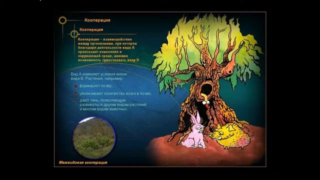 Взаимоотношения между организмами
