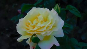 Красивое поздравление с Днём матери!"Мама, мама, мое сердце!"Красивая Песня Для Мамы.