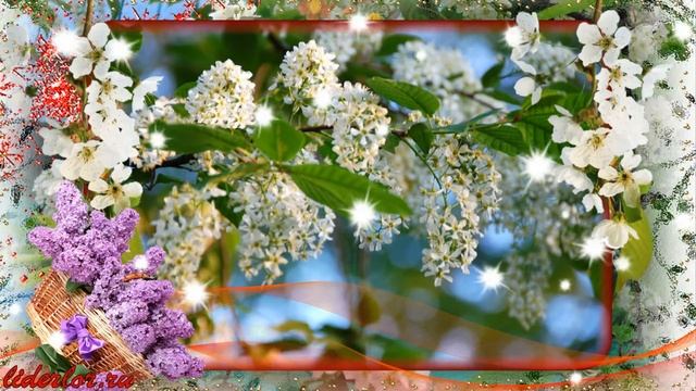❧ Черемухи букет ❧ смотреть онлайн