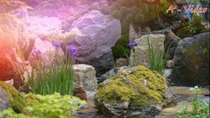 ?Участок загородного дома Идеи для ландшафтного дизайна / Original garden ideas / A - Video