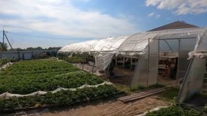 Теплица ширина 8 метров