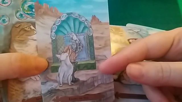Таро Мистических кошек  Mystical Cats Tarot ОБЗОР