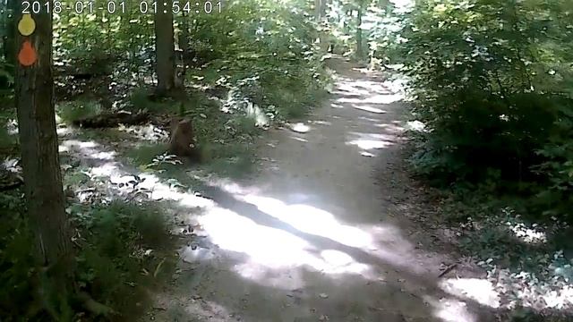 Rattle snake point pt 5 смотреть онлайн