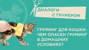 Груминг для кошки