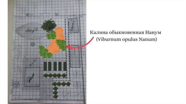 Особенности проектирования садов при высоком уровне грунтовых вод. Советы ландшафтного дизайнера. смотреть онлайн