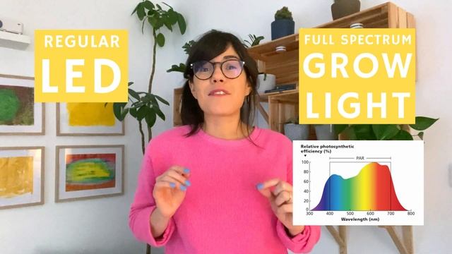 Regular LED lights for plants : GROW LIGHTS FOR HOUSEPLANTS (PART 2)
