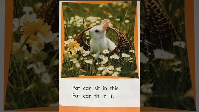 Can You Find It? смотреть онлайн