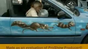 Санкт-Петербург Выставка Аэрография на авто.mp4