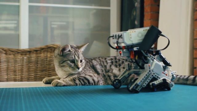 Направьте ребенка в нужное русло смотреть онлайн