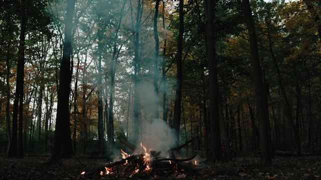 Здоровый сон у костра в лесу! Атмосфера летнего похода на природу! смотреть онлайн