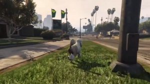 how to find animal plants on GTA V part 6