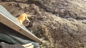 solar collector with his own hands 50$ простой солнечный колектор своими руками