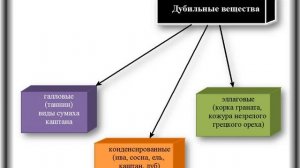 Катехины. Полимерные фенольные соединения