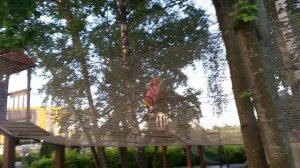 Тарзанка в парке