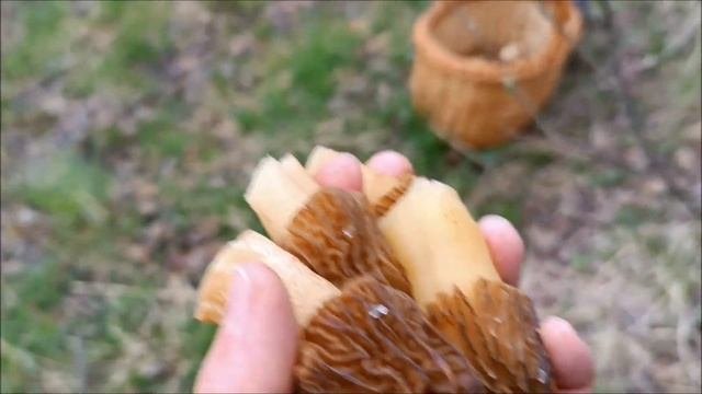 Шапочный разбор...