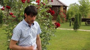 гр Стхаяр Зубейда