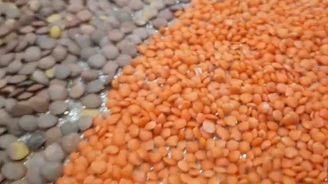 Чечевица зеленая и красная