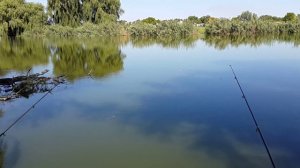 Ловля крупного карася на опарыша