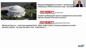 Методы принятия управленческих решений (ч. 9)