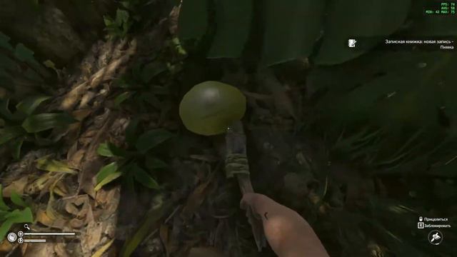 Green Hell co-op mode 2020 Выживание девушки и 3-х парней в джунглях Амазонки. Аборигены. Гепарды. смотреть онлайн