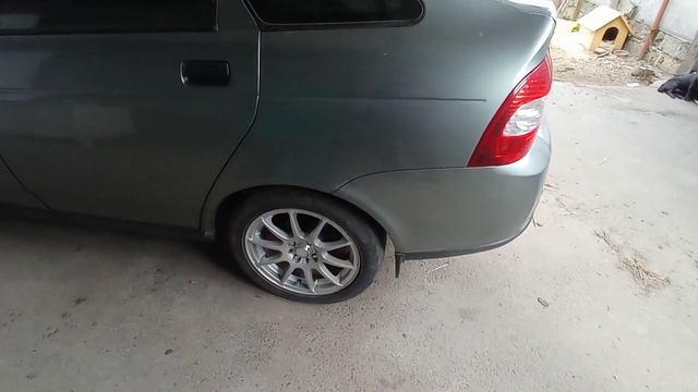 Свиноматка загуляла, куда теперь девать поросят? смотреть онлайн