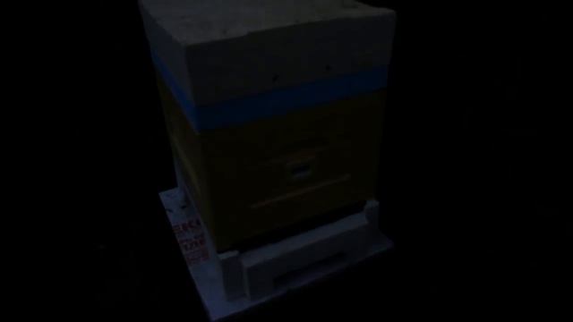 как вывести хорошую свищевую матку на пасеке - методика работ с 28. 05 по 30. 06 смотреть онлайн