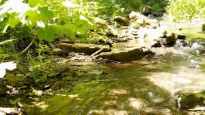 Звонкий шум воды — ручей и камни — пение птиц