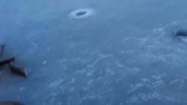 Озеро Сторуман в Швеции зимняя ловля палии. смотреть онлайн