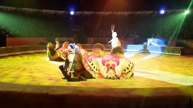 Цырк в Автово(Верблюды) смотреть онлайн