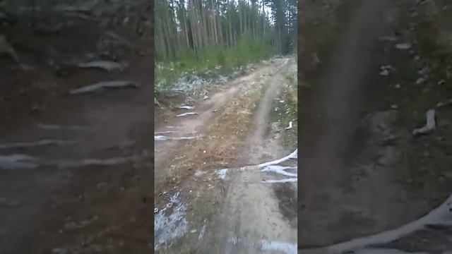 Скоро выйдет сборник про мистера пропера 4 часть смотреть онлайн