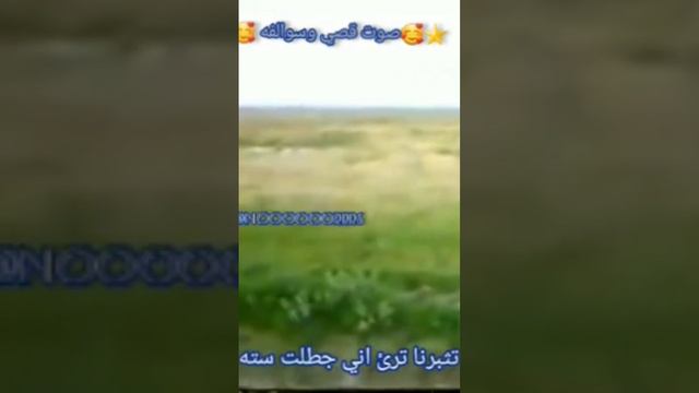 رحم الله جاري العزيز قصي صدام حسين