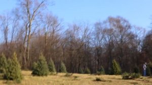 США Рождество Едем за елкой на ферму Gaver Farm