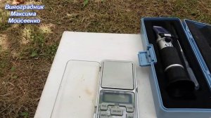 г.ф. Аполлон Никопольский- и немного о прививках