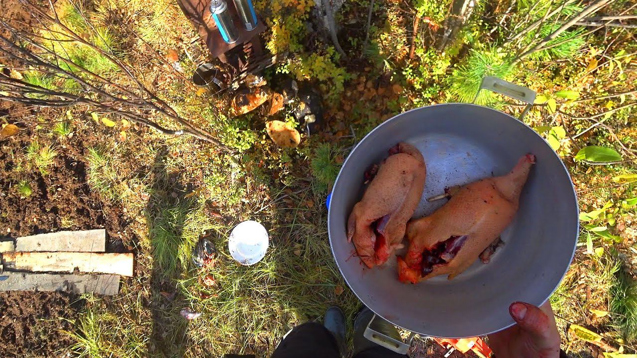 ЖИЗНЬ И БЫТ В ТАЙГЕ! Шулюм из дикой утки смотреть онлайн