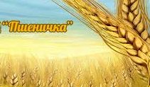 Как вырастить пшеницу.