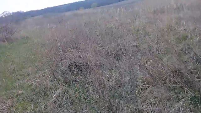 собираем траву смотреть онлайн