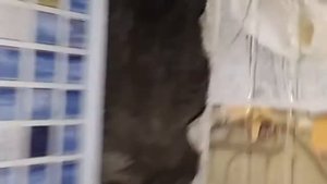 ВЕНТИЛЯЦИЯ В ХРУЩЕВКЕ. СЕКРЕТ ХОРОШЕЙ ВЕНТИЛЯЦИИ. ПАНЕЛЬНЫЙ ДОМ. РЕШЕТКА.