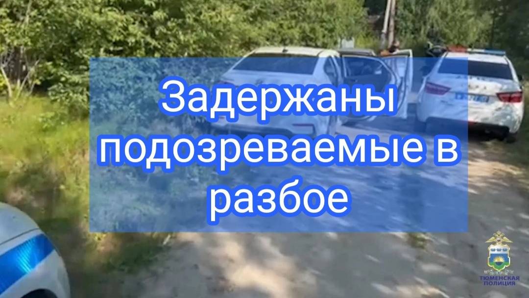 В Тюменской области полицейские задержали двоих молодых людей, подозреваемых в разбое