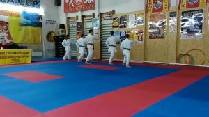 Аттестация по каратэ на черные и коричневые пояса. Кихон на 1 Дан. экзамен 2016.01.31