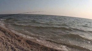 Ловля кефали, пеленгаса.